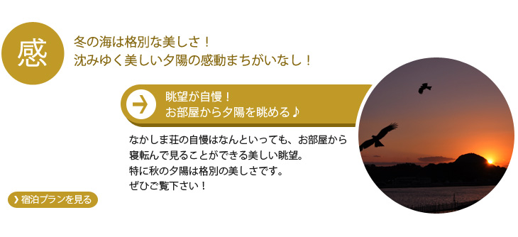 泳