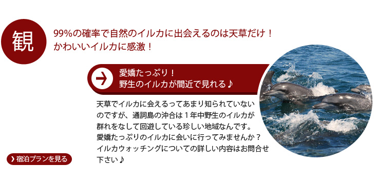 観