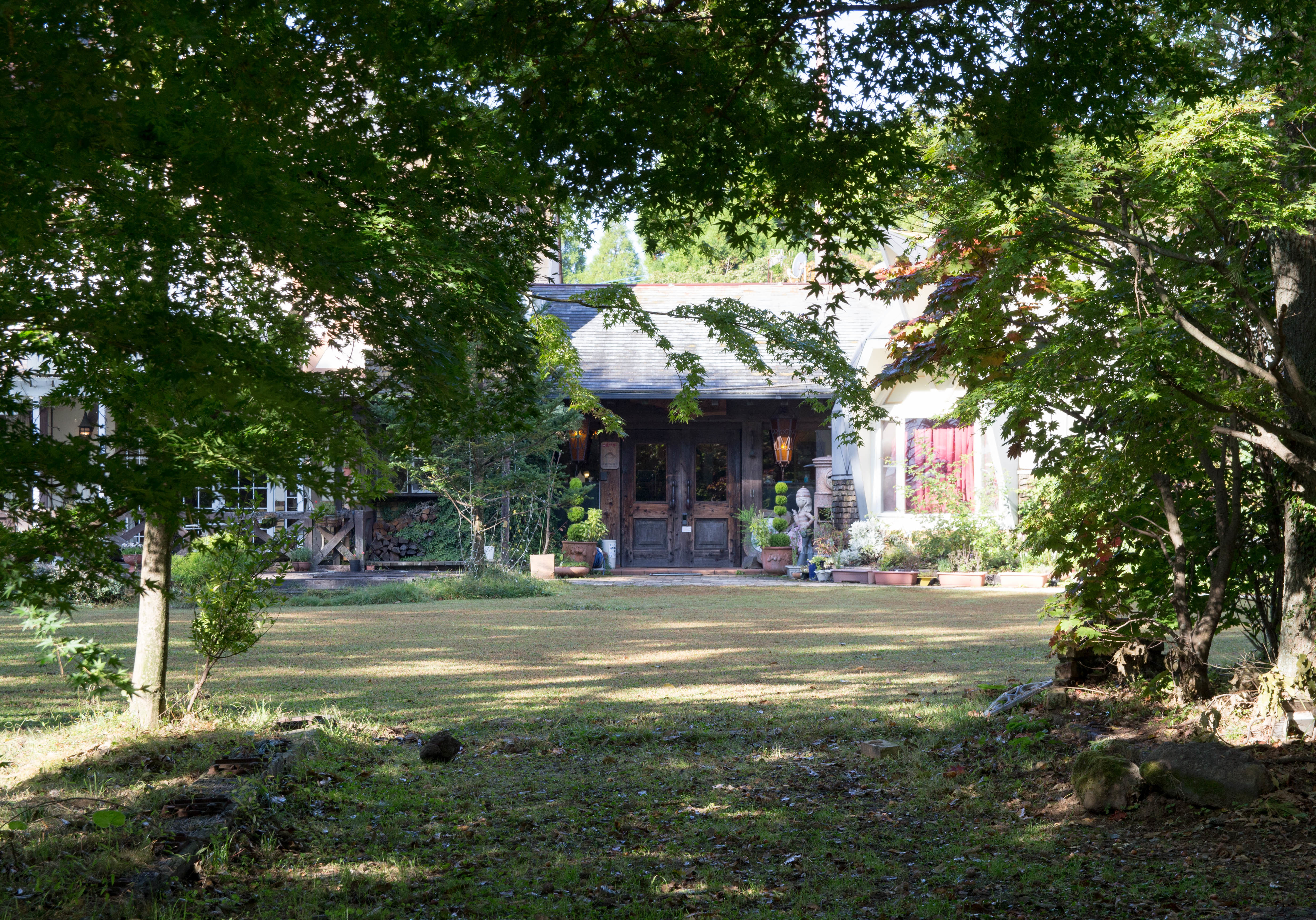 IMG_4629 IMG_4629